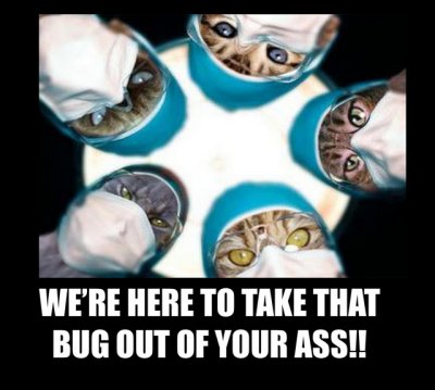 1catsurgeons.jpg