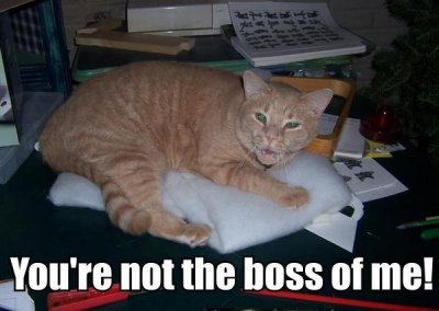 boss_me.jpg