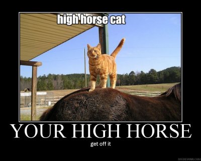 catposterhighhorsefi5.jpg