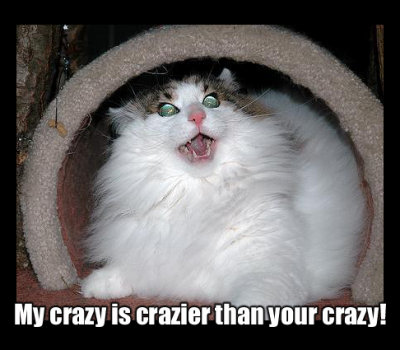 crazy2.jpg