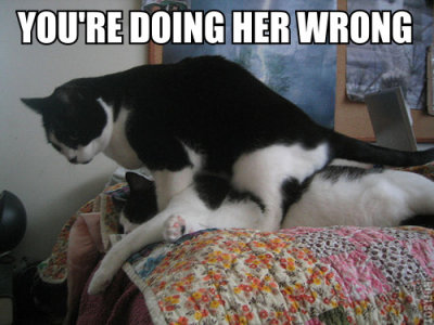 doingherwrong.jpg