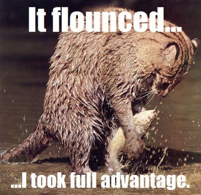 FishingCat20XX.jpg
