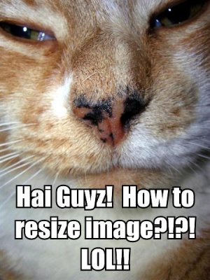 -how-to-resize-