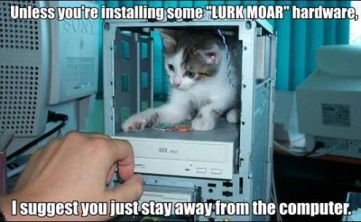 lurkmoar1.jpg