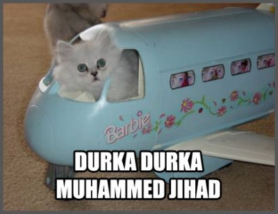 planecat1.jpg