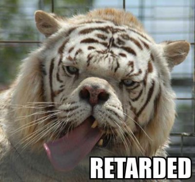 RETARDED.jpg