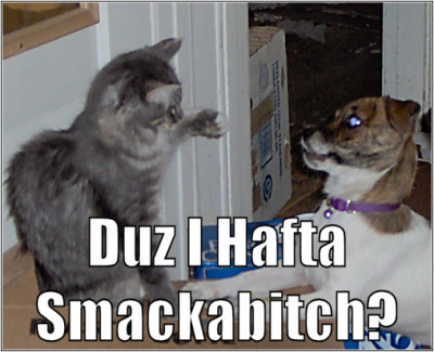 smackabitch2.jpg