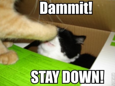 staydown.jpg