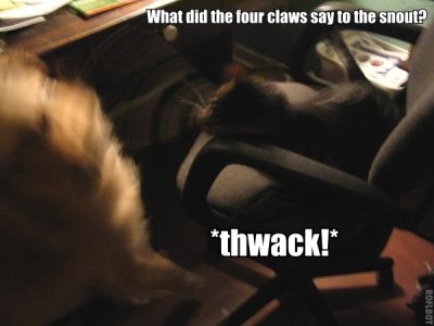 thwack.jpg
