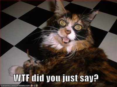 wtfdidyousay.jpg