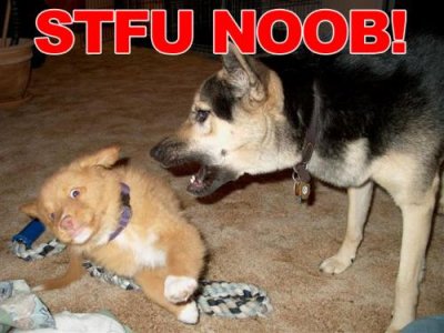 stfu_n00b
