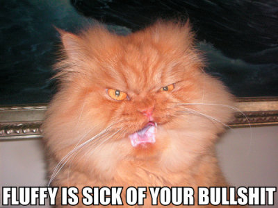 cat_bullshit2.jpg