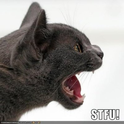 stfu6.jpg