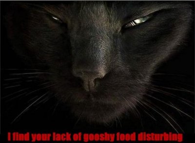 Vadercat.jpg
