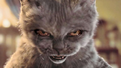 angry_cat-blank.jpg