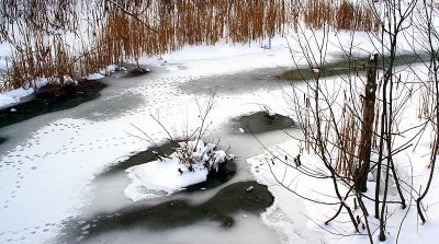 Partly Frozen River # 1