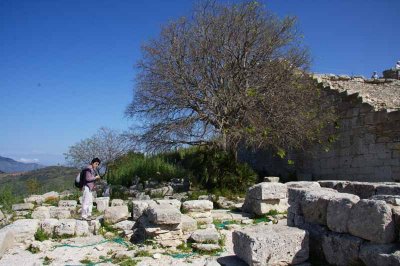 7467_Segesta.jpg
