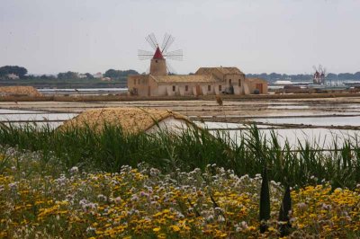 7676_Saline di Trapani.jpg