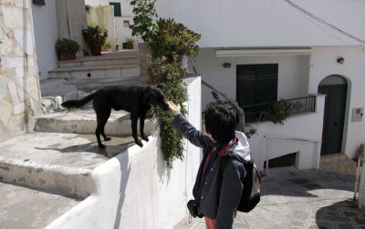 Varie Ischia 2008_296.jpg