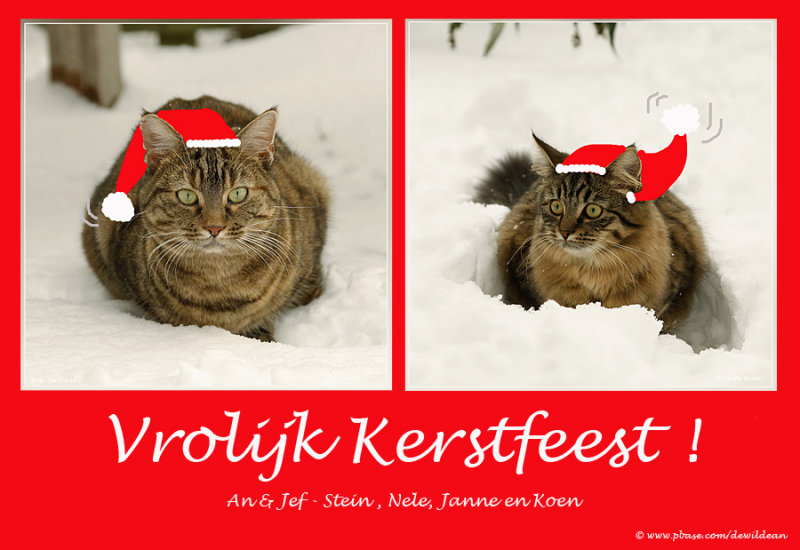 Merry Christmas !