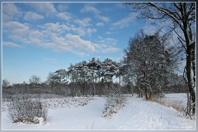 Olens Broek in Winter