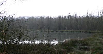 hoe heet deze nu weer ?