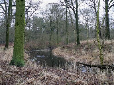 afgesneden oude Nete-arm