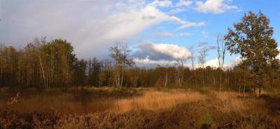 Olen : Olensbroek - herfst