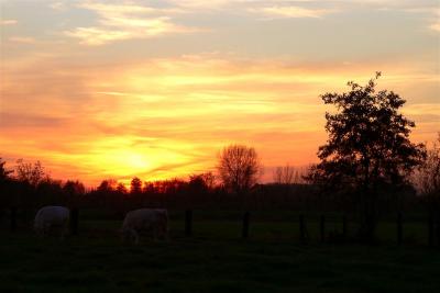 Zele  zonsondergang