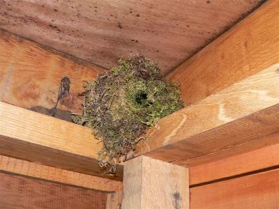 nest van ..... in de kijkhut