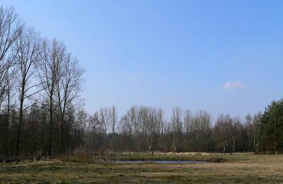 g3/36/73936/3/57478844.Nieuwemap215P1180543kopie.jpg