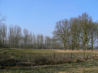 g3/36/73936/3/57478861.Nieuwemap221P1180549kopie.jpg