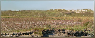 pano 286+287kopie.jpg