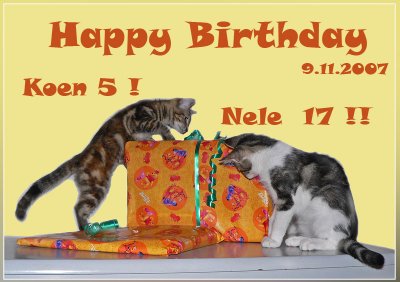 Happy Birthday Koen and Nele!