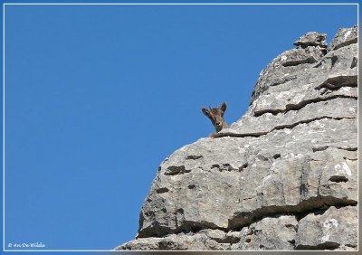 03.04.08 El Torcal