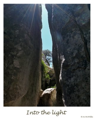 Into the light