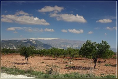 Andalusi :zicht op Sierra Nevada