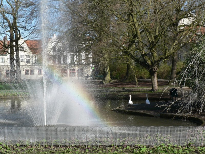 Regenboog in fontein