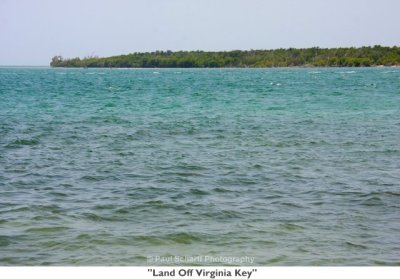 030 Land Off Virginia Key.jpg