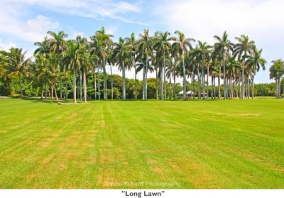 043 Long Lawn.jpg