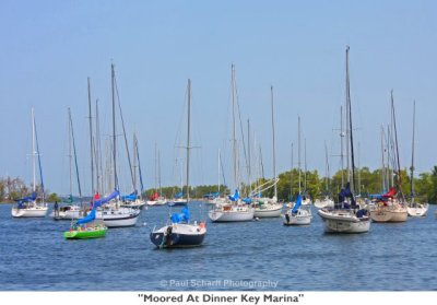 058 Moored At Dinner Key Marina.jpg