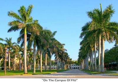 083 On The Campus Of FIU.jpg