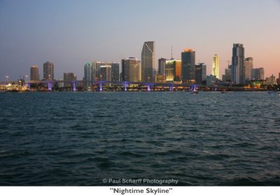 022 Nightime Skyline.jpg