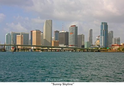 025 Sunny Skyline.jpg