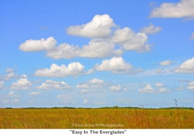 014 Easy In The Everglades.jpg