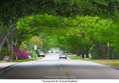 062 Covered In Coral Gables.jpg