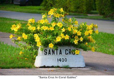118 Santa Cruz In Coral Gables.jpg