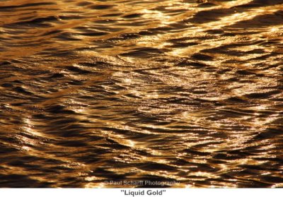 139 Liquid Gold.jpg