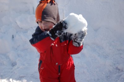 fast learner!  now that's a snow ball!