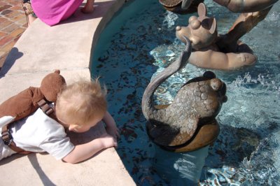 Checking out the water